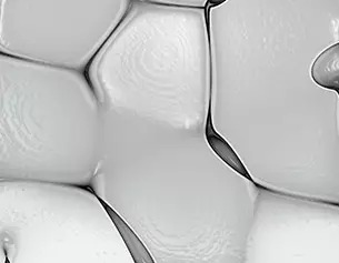 2% Fatty Acids