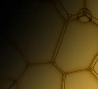 Phloretin