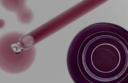 Anti-Aging Creams SkinCeuticals