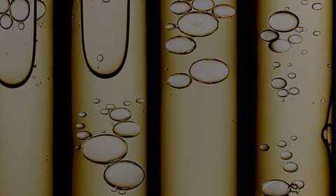 Antioxidants SkinCeuticals