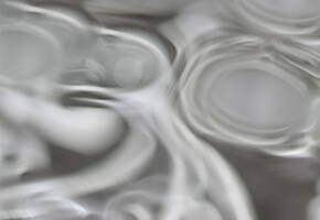 Paraben Free