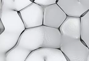 Fatty Acid Banner