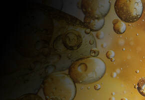 Paraben Free