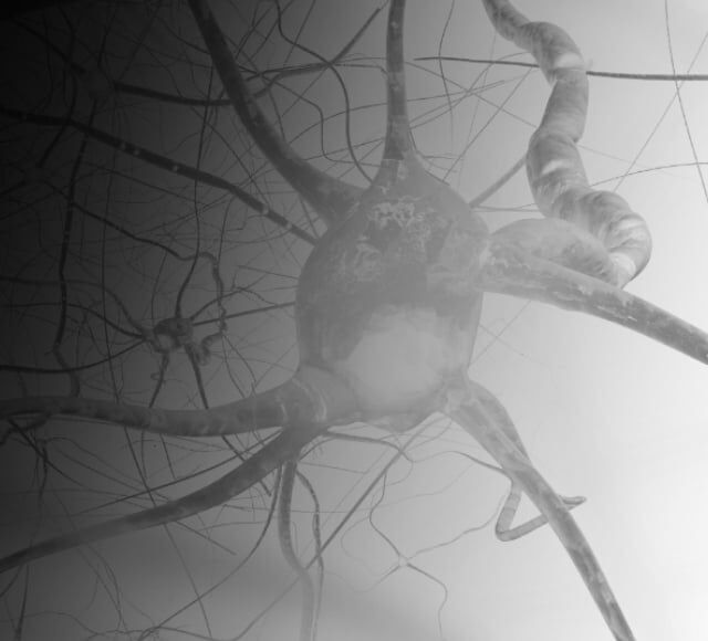 Neuropeptides Ingredient