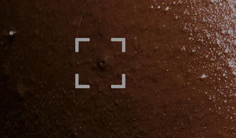 Anti-Aging Creams SkinCeuticals