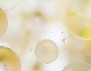 1% Kojic Acid