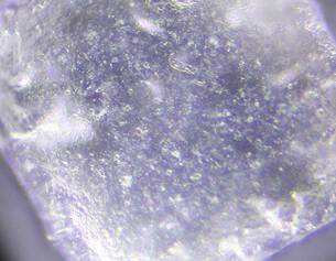 Zinc PCA Ingredient Image