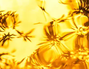 Paraben Free